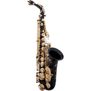 JAS1100GOQ Performance Level Eb Alto Saxophone