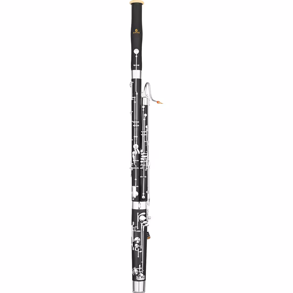 JBN1000 Full Heckel System Bassoon