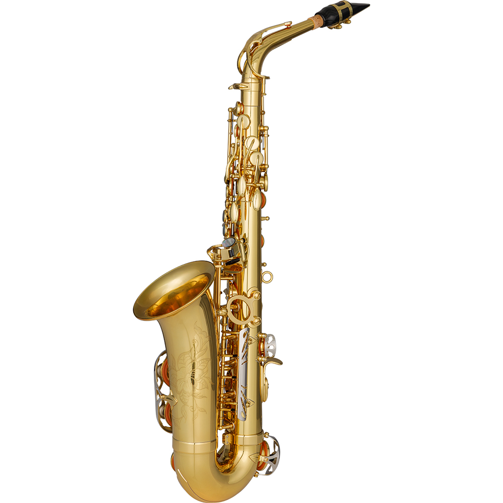 JAS1101GNQ DiMedici Performance Level Eb Alto Saxophone - Image 2