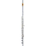 JFL1000RBEK DiMedici Intermediate Flute With Sterling Silver Headjoint and Gold-Plated Lip Plate