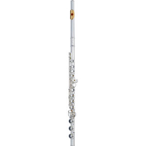JFL1000RBEK DiMedici Intermediate Flute With Sterling Silver Headjoint and Gold-Plated Lip Plate