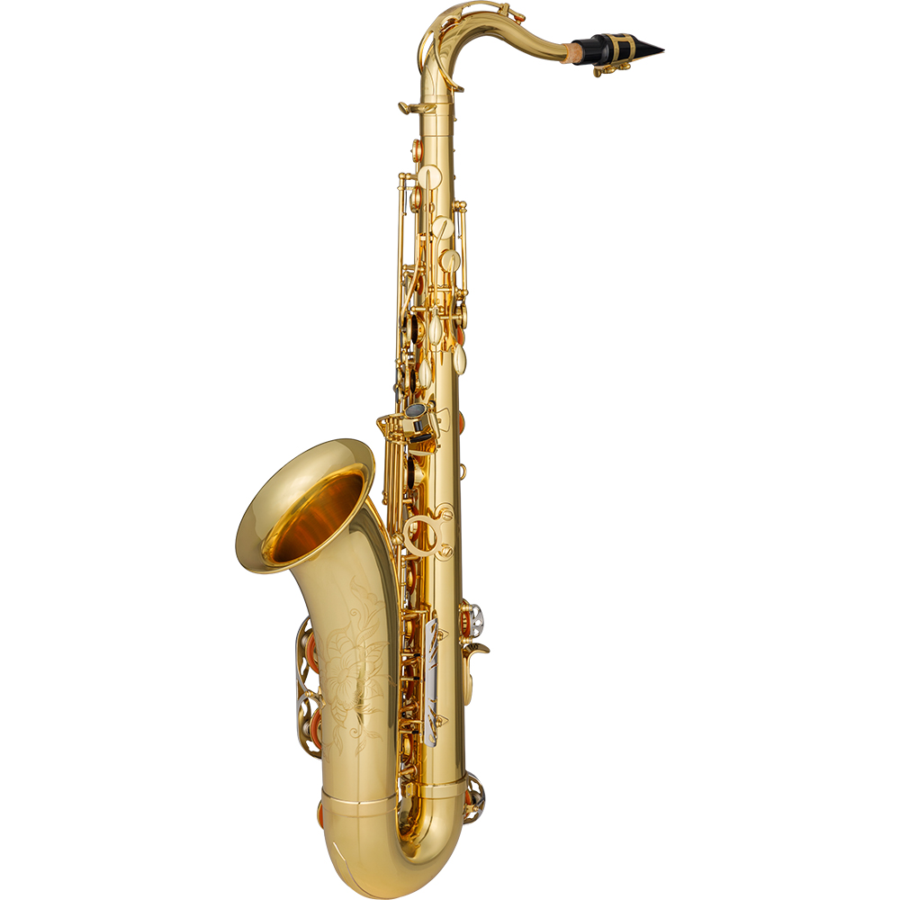 JTS1101GNQ DiMedici Performance Level Bb Tenor Saxophone - Image 2