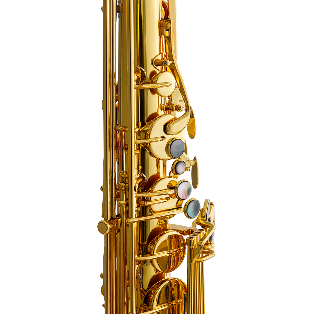 JTS1101GNQ DiMedici Performance Level Bb Tenor Saxophone - Image 3